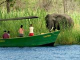 Boat Safari