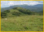 BR Hills